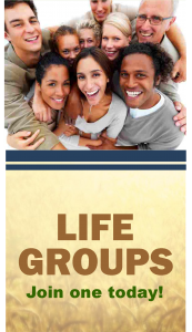 LIFE groups